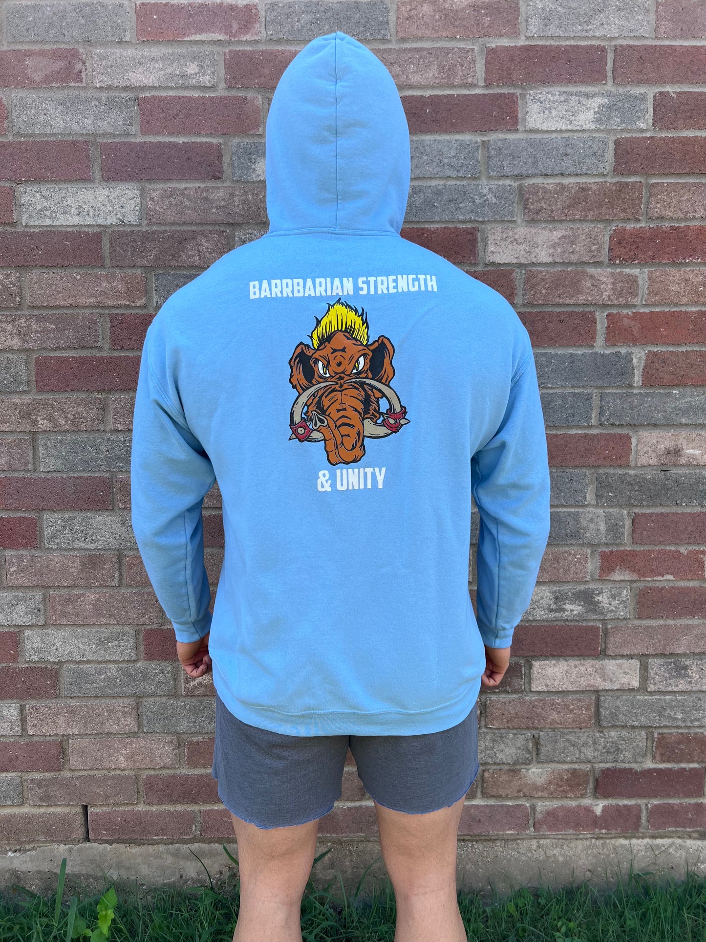Barbarian Strength and Unity Hoodie
