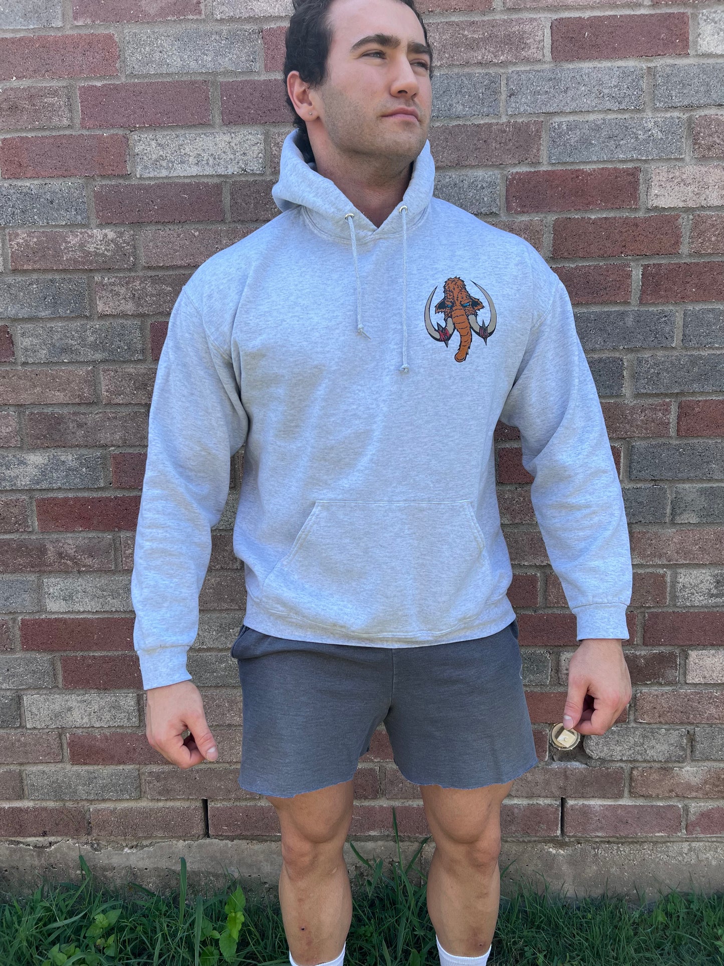 Barbarian Strength and Unity Hoodie