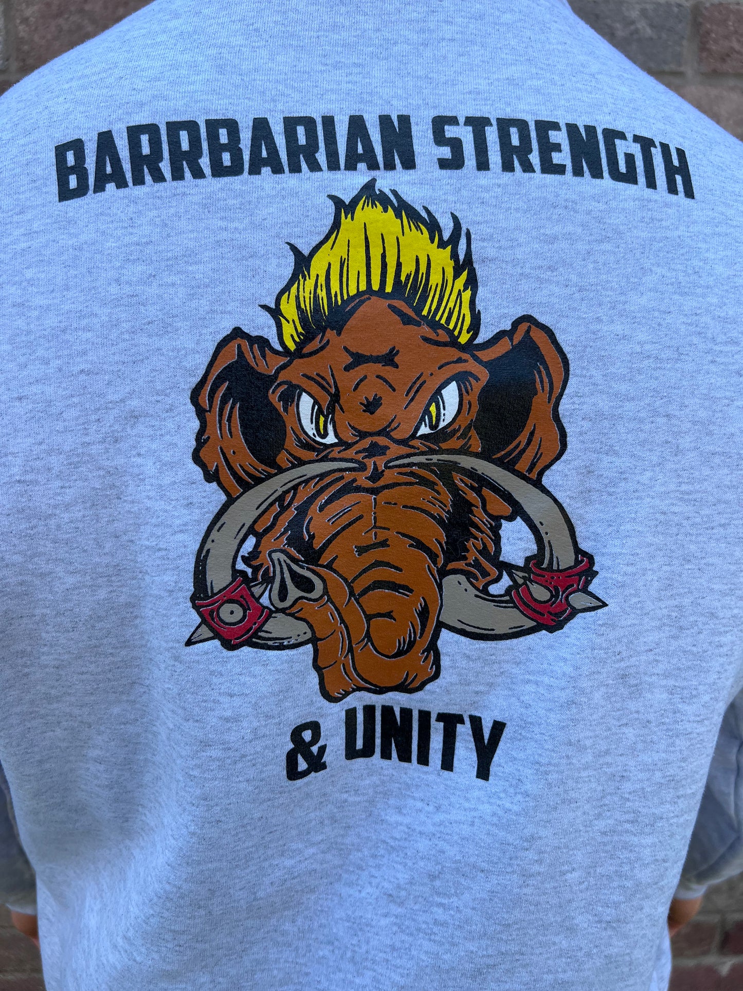Barbarian Strength and Unity Hoodie