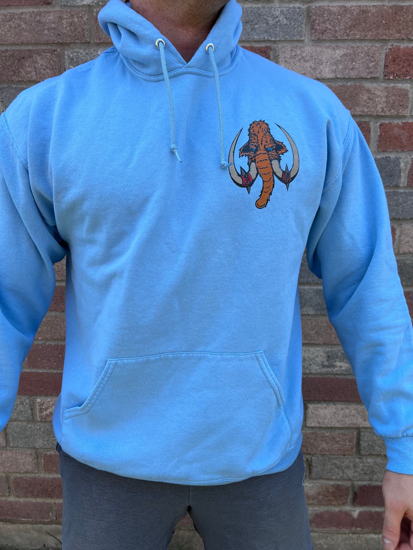 Barbarian Strength and Unity Hoodie