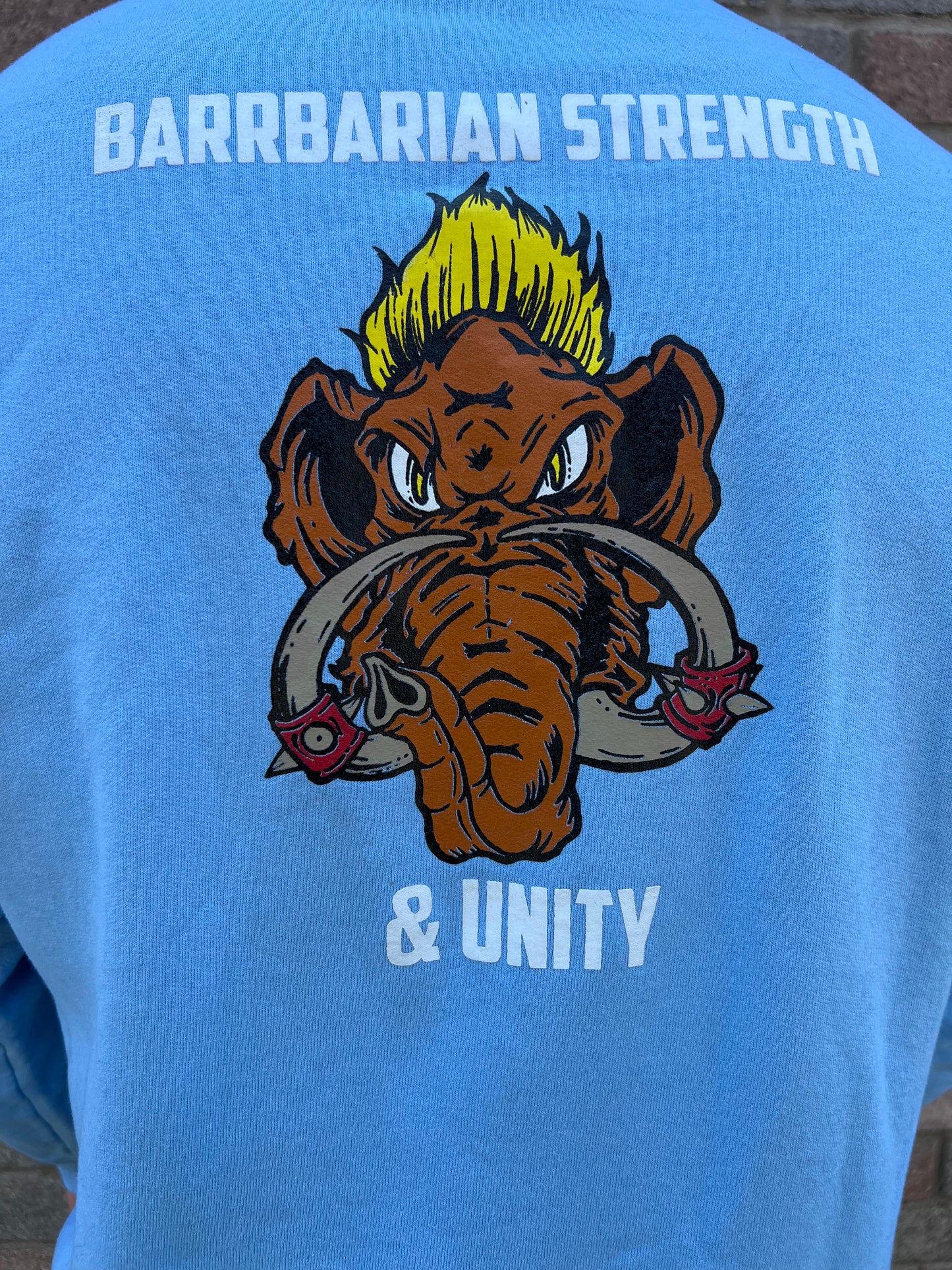 Barbarian Strength and Unity Hoodie